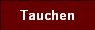  Tauchen 